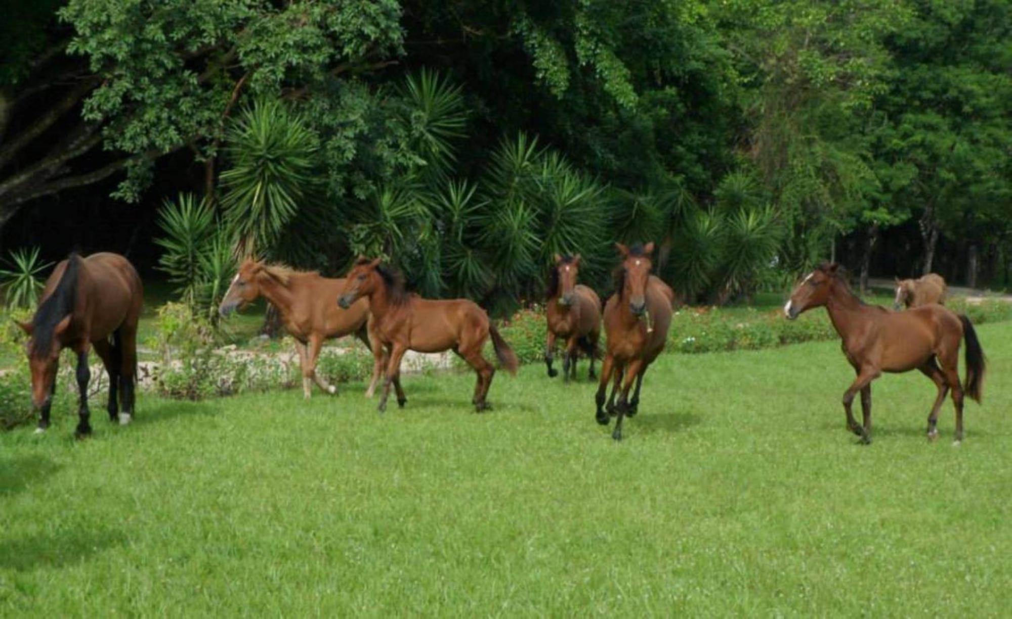 Finca אישובל מראה חיצוני תמונה
